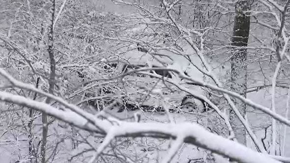 【長野】雪道でスリップか　東京都の3人乗った乗用車が左脇の柵突き破り崖下に転落　54歳男性会社員死亡　51歳と69歳男性が重傷　上田市